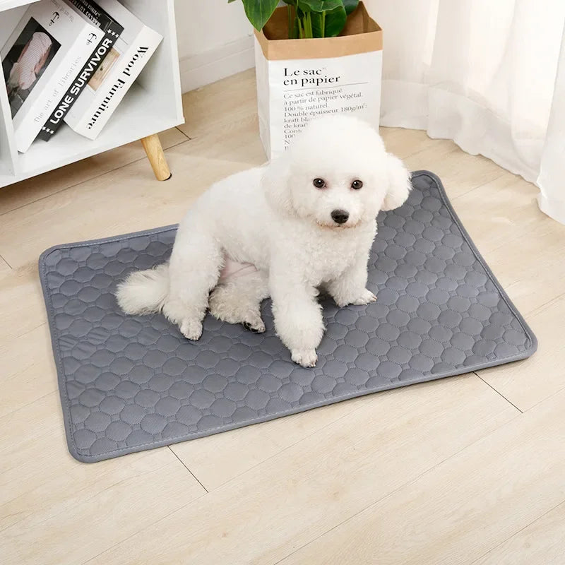 Reusable Dog Pee Pad Blanket Absorbent Diaper Washable Puppy Training