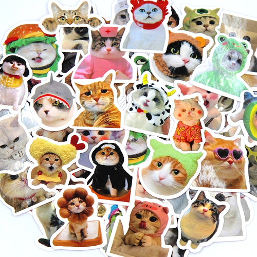 10/50/100pcs Funny Cat Stickers Cartoon Cute Decals Toy Stationery