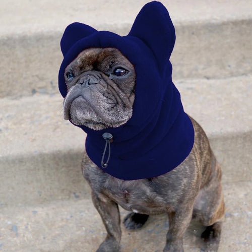 Cute Dog's Fleece Bat Hat Soft Warm Adjustable French Bulldogs Winter