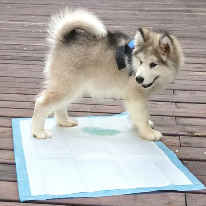 Super Absorbent Pet Diaper Dog Training Pee Pads Disposable Thickened