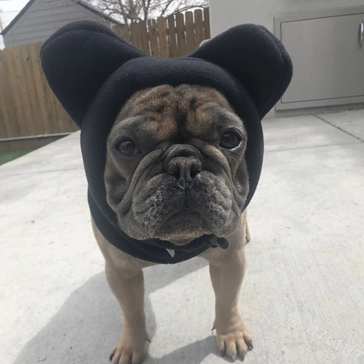 Cute Dog's Fleece Bat Hat Soft Warm Adjustable French Bulldogs Winter